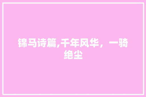 锦马诗篇,千年风华，一骑绝尘