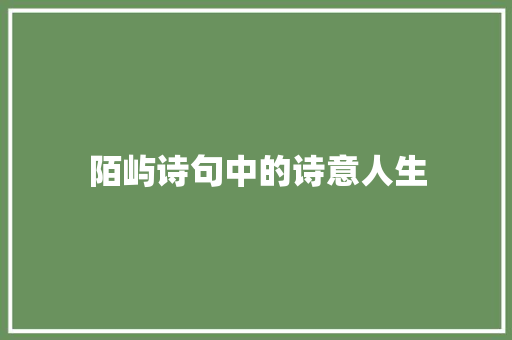 陌屿诗句中的诗意人生 个人简历