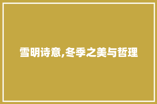雪明诗意,冬季之美与哲理