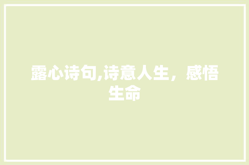 露心诗句,诗意人生，感悟生命