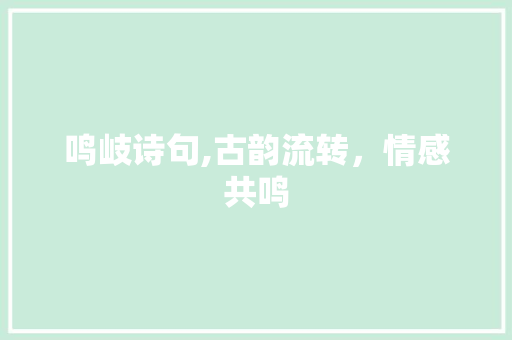 鸣岐诗句,古韵流转，情感共鸣 国学经典