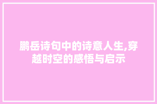 鹏岳诗句中的诗意人生,穿越时空的感悟与启示