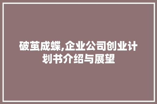 破茧成蝶,企业公司创业计划书介绍与展望