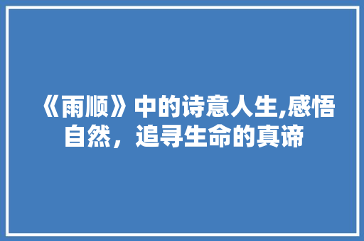 《雨顺》中的诗意人生,感悟自然，追寻生命的真谛