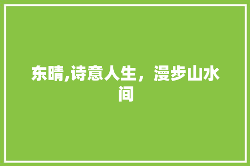 东晴,诗意人生，漫步山水间