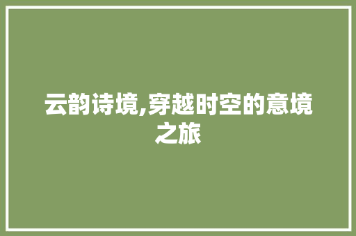云韵诗境,穿越时空的意境之旅