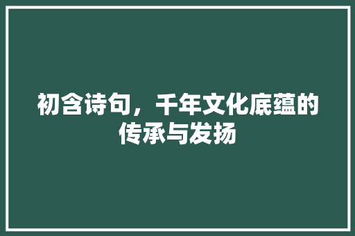 初含诗句，千年文化底蕴的传承与发扬
