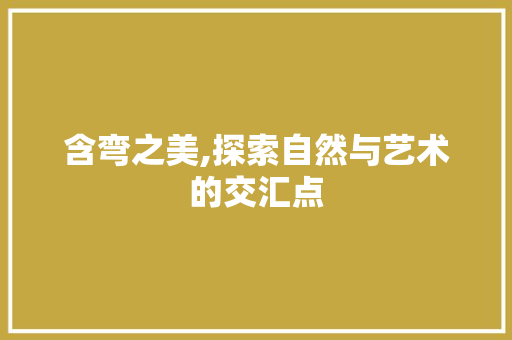 含弯之美,探索自然与艺术的交汇点