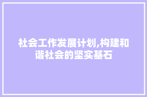 社会工作发展计划,构建和谐社会的坚实基石