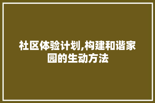 社区体验计划,构建和谐家园的生动方法