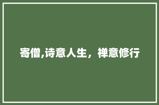 寄僧,诗意人生，禅意修行