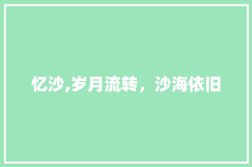 忆沙,岁月流转，沙海依旧