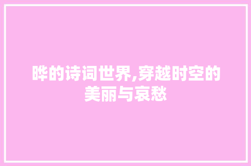 晔的诗词世界,穿越时空的美丽与哀愁