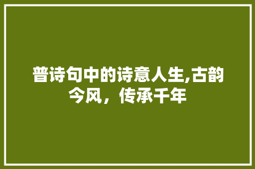 普诗句中的诗意人生,古韵今风，传承千年