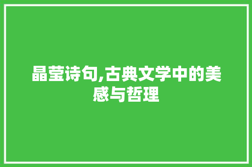 晶莹诗句,古典文学中的美感与哲理