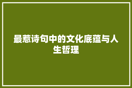 最惹诗句中的文化底蕴与人生哲理