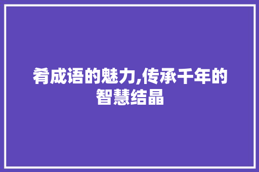 肴成语的魅力,传承千年的智慧结晶