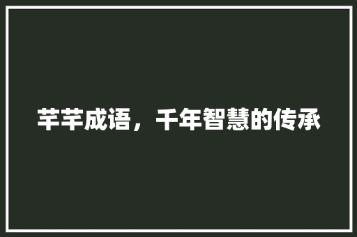 芊芊成语，千年智慧的传承