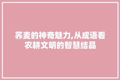 荞麦的神奇魅力,从成语看农耕文明的智慧结晶