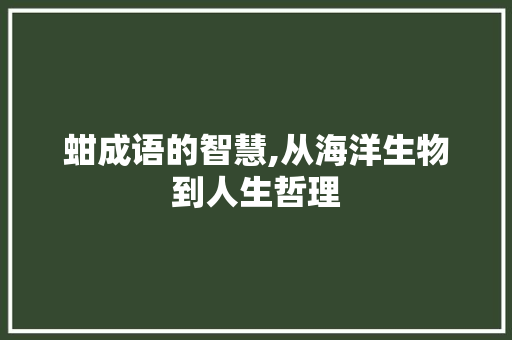 蚶成语的智慧,从海洋生物到人生哲理