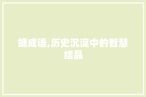 螗成语,历史沉淀中的智慧结晶 国学经典