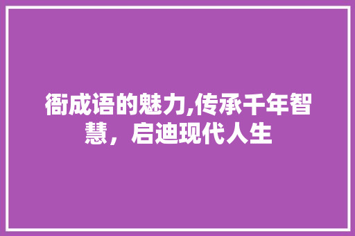 衙成语的魅力,传承千年智慧，启迪现代人生 国学经典