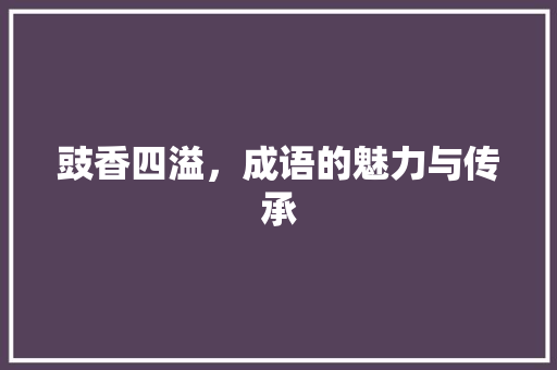豉香四溢，成语的魅力与传承