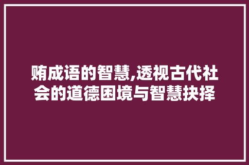 贿成语的智慧,透视古代社会的道德困境与智慧抉择
