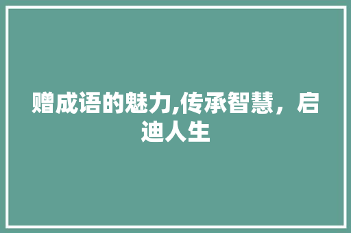 赠成语的魅力,传承智慧，启迪人生