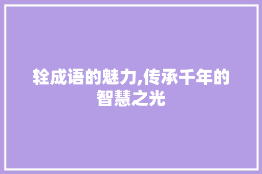 辁成语的魅力,传承千年的智慧之光