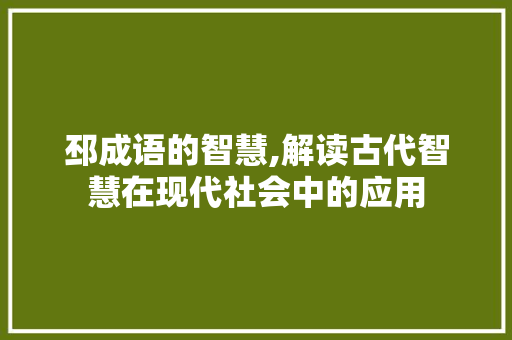 邳成语的智慧,解读古代智慧在现代社会中的应用