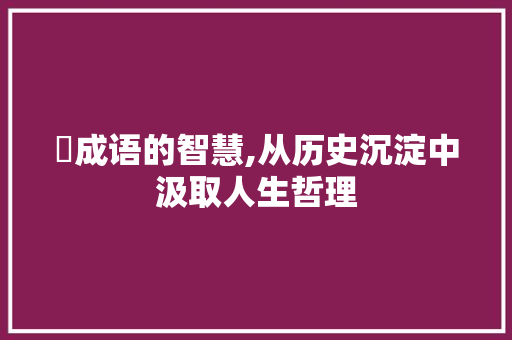 酕成语的智慧,从历史沉淀中汲取人生哲理