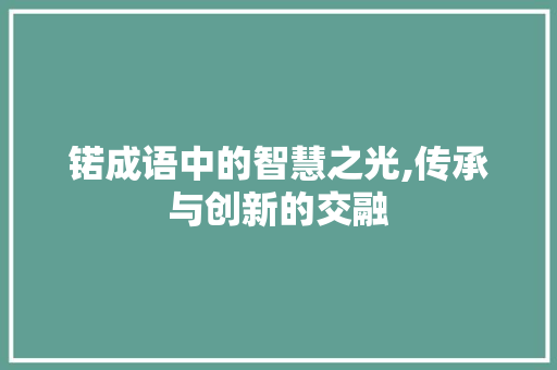 锘成语中的智慧之光,传承与创新的交融