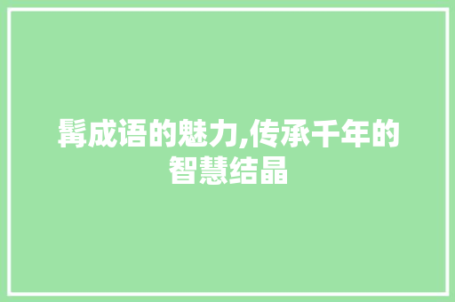 髯成语的魅力,传承千年的智慧结晶
