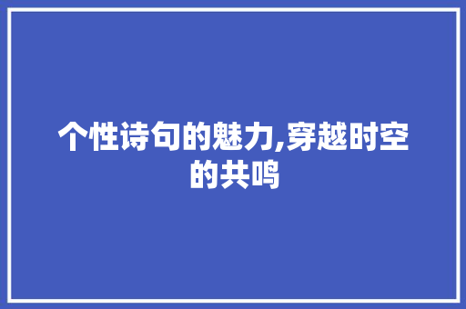个性诗句的魅力,穿越时空的共鸣 演讲稿