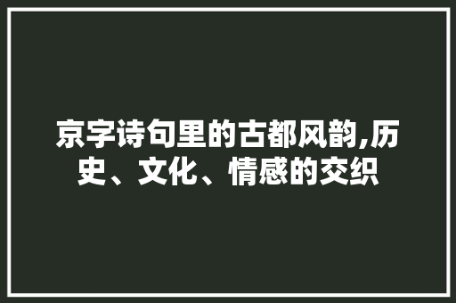 京字诗句里的古都风韵,历史、文化、情感的交织 工作总结