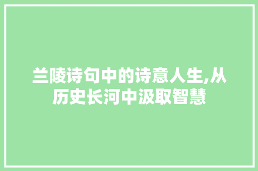 兰陵诗句中的诗意人生,从历史长河中汲取智慧