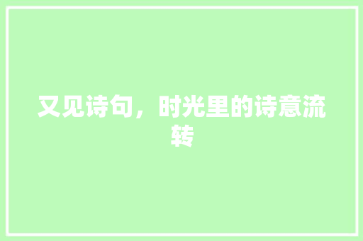 又见诗句，时光里的诗意流转