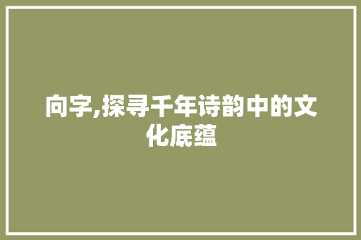 向字,探寻千年诗韵中的文化底蕴 演讲稿