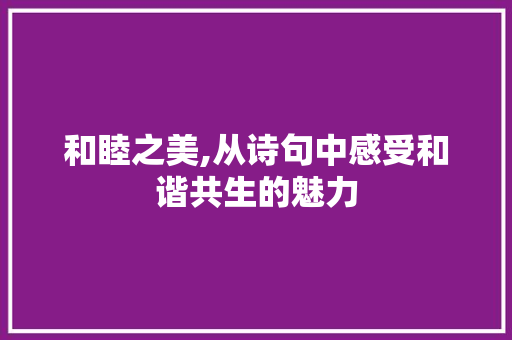 和睦之美,从诗句中感受和谐共生的魅力