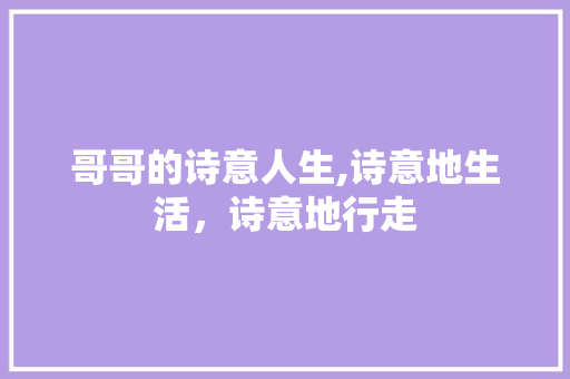 哥哥的诗意人生,诗意地生活，诗意地行走