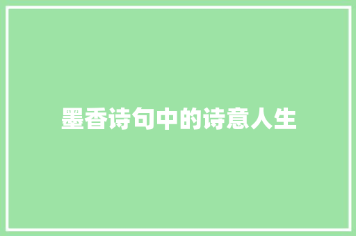 墨香诗句中的诗意人生 个人简历