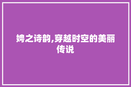 娉之诗韵,穿越时空的美丽传说