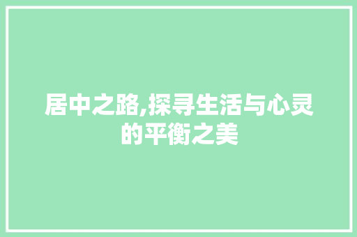 居中之路,探寻生活与心灵的平衡之美