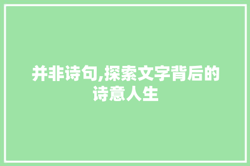 并非诗句,探索文字背后的诗意人生 个人简历