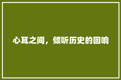 心耳之间，倾听历史的回响 国学经典