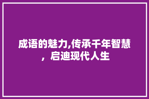 成语的魅力,传承千年智慧，启迪现代人生