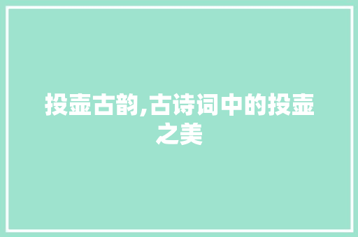 投壶古韵,古诗词中的投壶之美