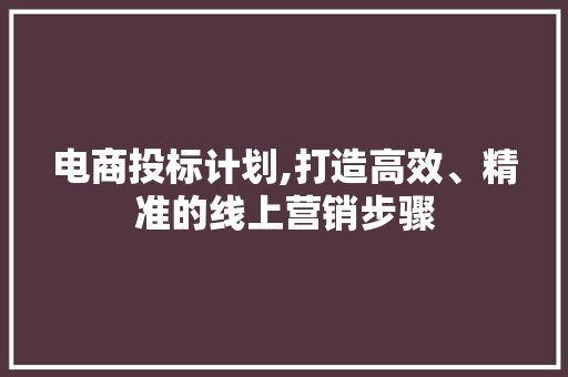 电商投标计划,打造高效、精准的线上营销步骤