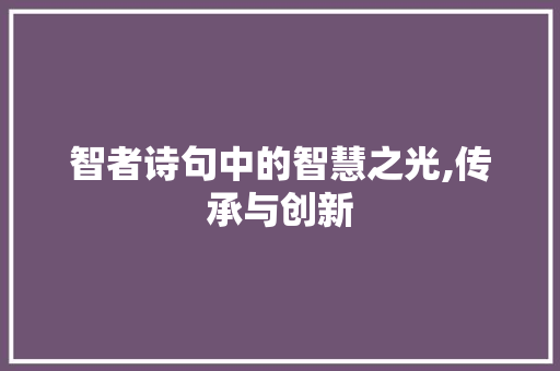 智者诗句中的智慧之光,传承与创新 工作总结